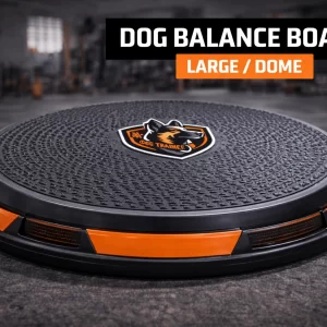 Dog Balance Board Dome