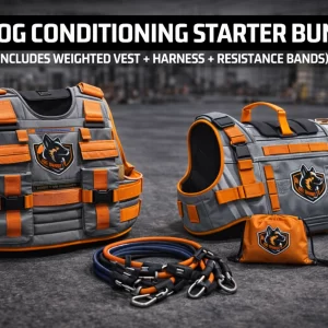 Dog Conditioning Starter Bundle