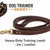 Heavy-Duty Training Leash - 2m Leather