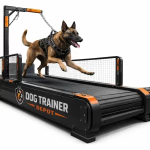 Motorized Dog Treadmill - High Speed 100kg